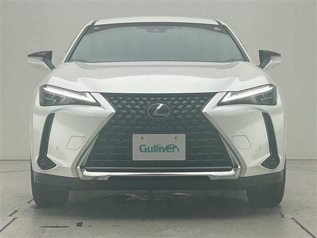 2020 Lexus UX 缩略图 21