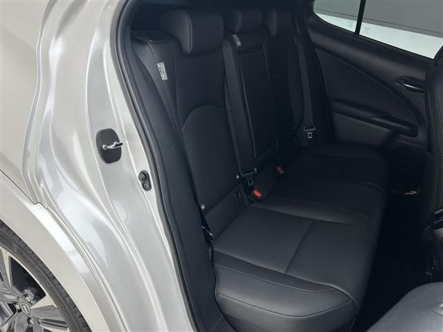 2020 Lexus UX 缩略图 18