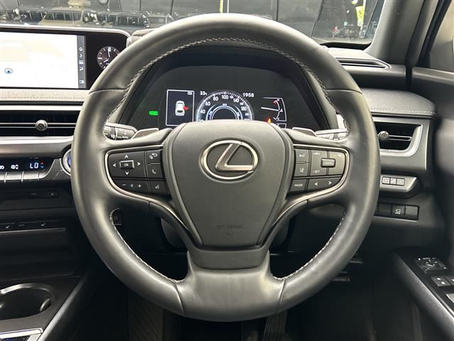 2020 Lexus UX photo 3