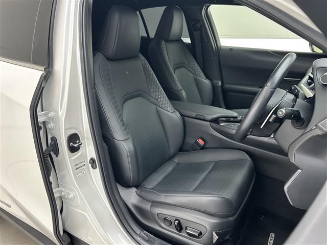 2020 Lexus UX 缩略图 17