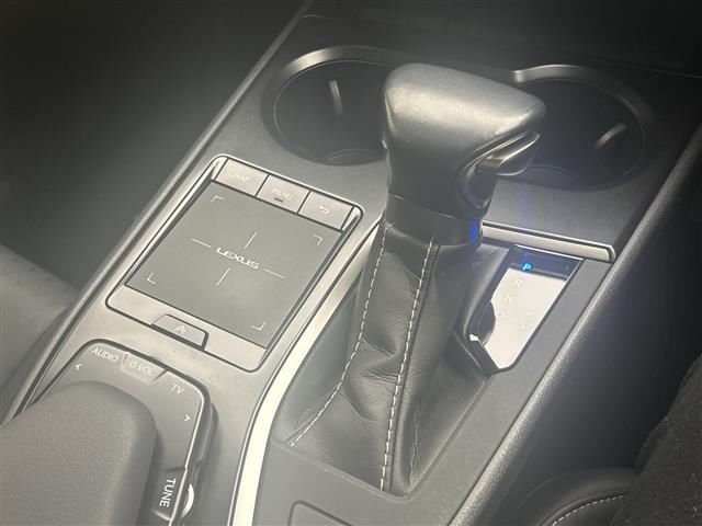 2020 Lexus UX 缩略图 16