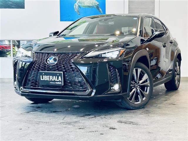 2019 Lexus UX photo 1