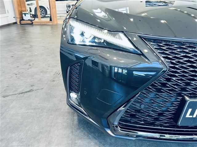 2019 Lexus UX photo 3
