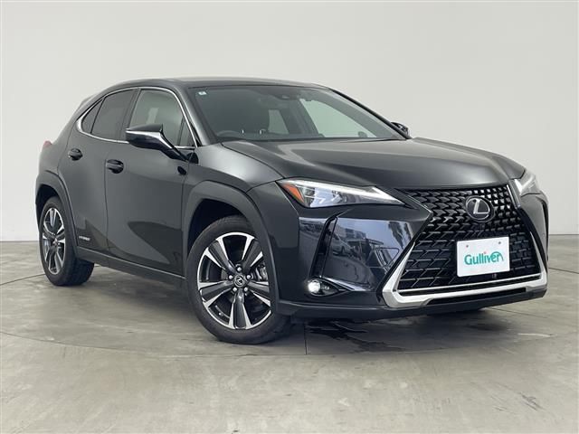 2019 Lexus UX photo 1