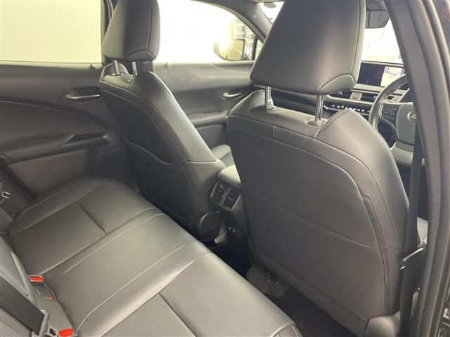 صورة مصغرة 13 لـ 2019 Lexus UX