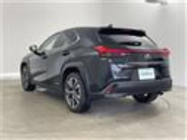 2019 Lexus UX photo 2