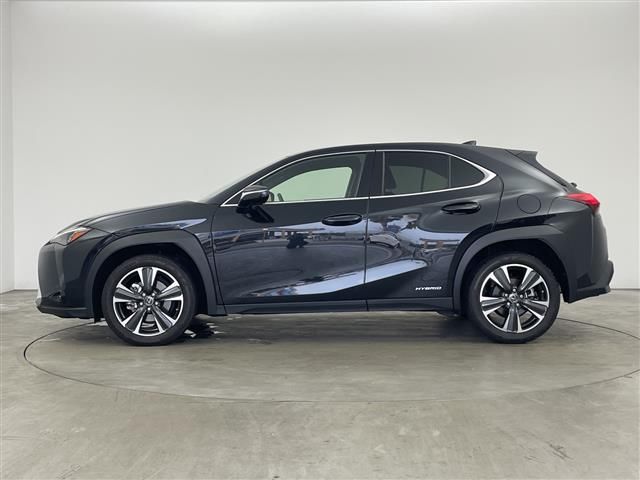 2019 Lexus UX photo 10