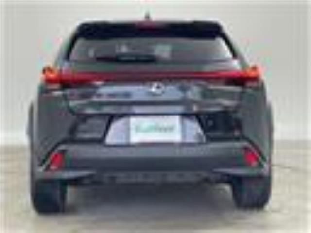 2019 Lexus UX photo 8