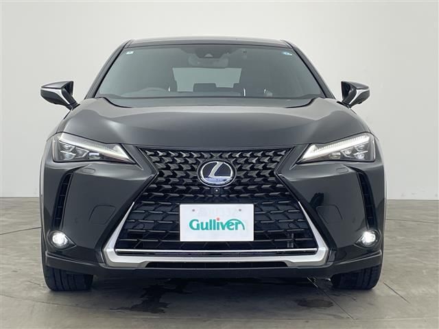 2019 Lexus UX photo 7
