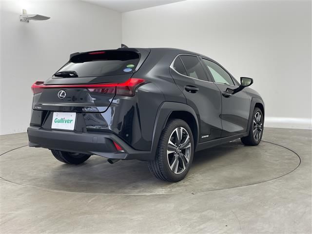 2019 Lexus UX photo 6