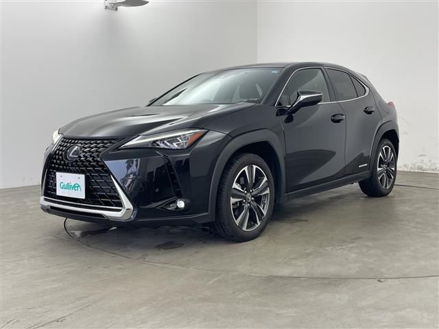 2019 Lexus UX photo 5