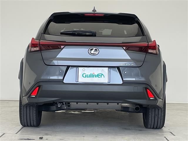 2023 Lexus UX photo 2