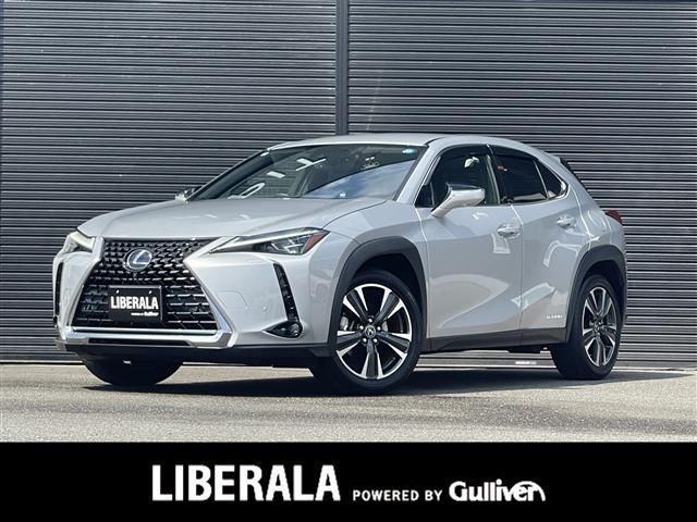 2019 Lexus UX photo 1