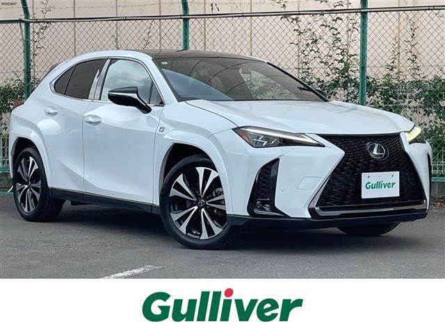 2023 Lexus UX photo 1