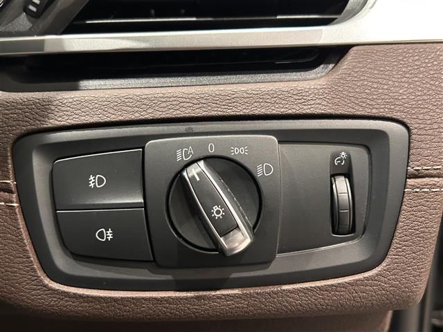 2018 BMW X2 — миниатюра 11