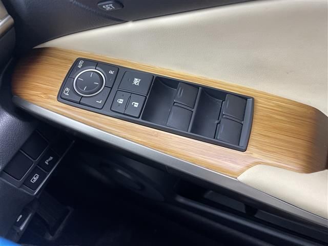 2013 Lexus IS photo 10