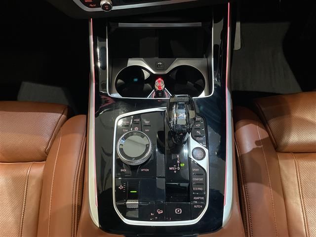 2020 BMW X7 缩略图 18