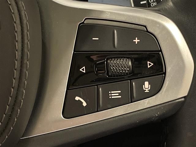 2020 BMW X7 缩略图 13