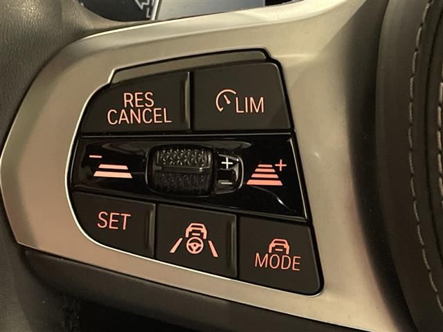 2020 BMW X7 缩略图 12