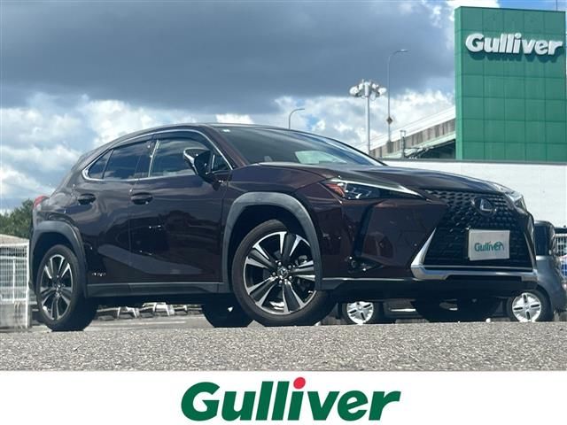 2020 Lexus UX photo 1