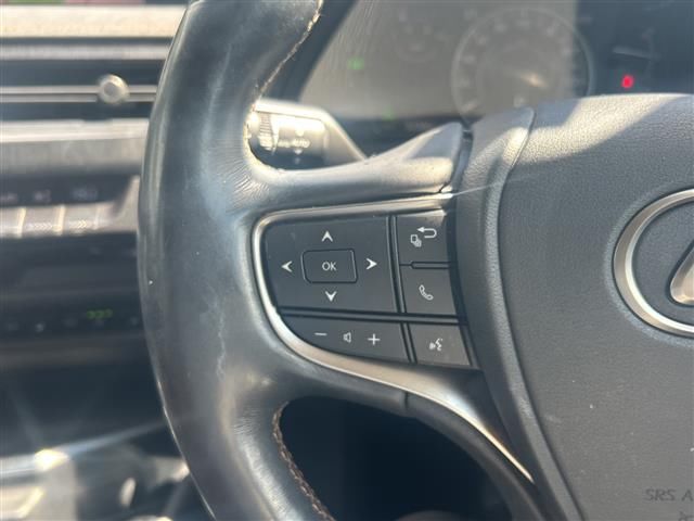 2020 Lexus UX photo 8