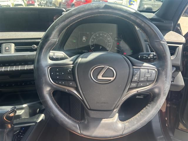 2020 Lexus UX photo 7