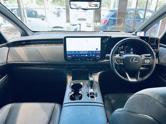2024 Lexus LM 照片 5
