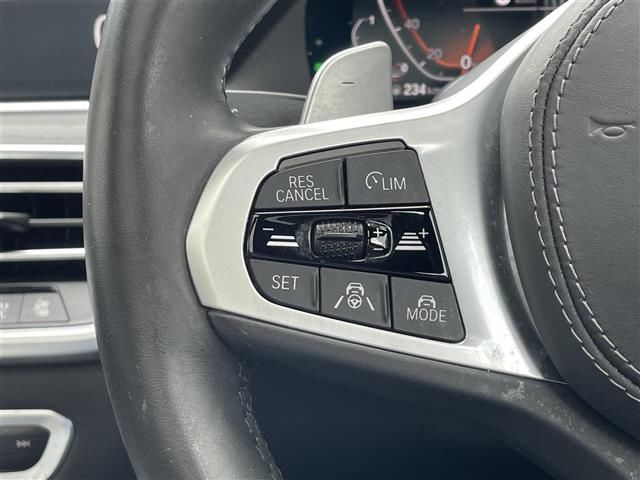 2021 BMW X7 照片 10
