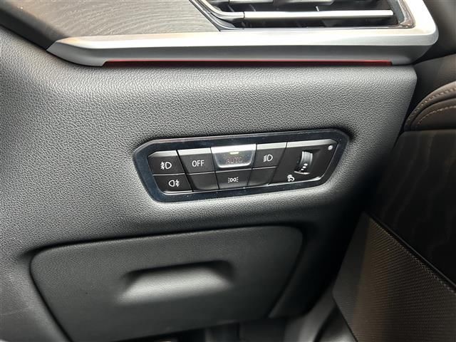 2021 BMW X7 thumbnail 19
