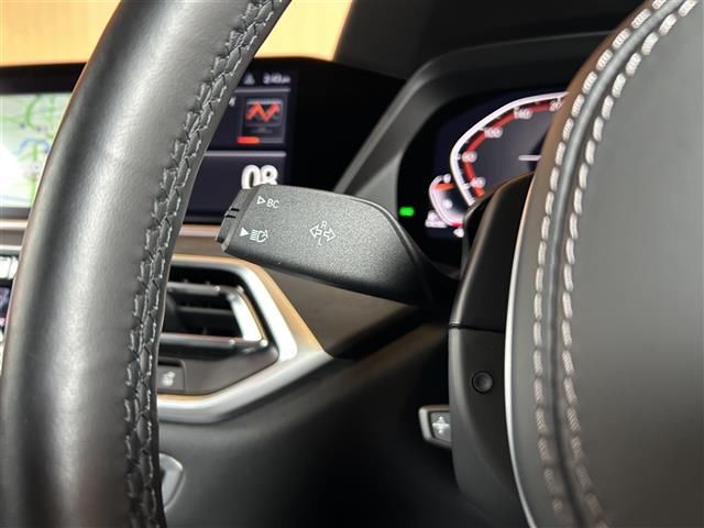 2021 BMW X7 照片 10