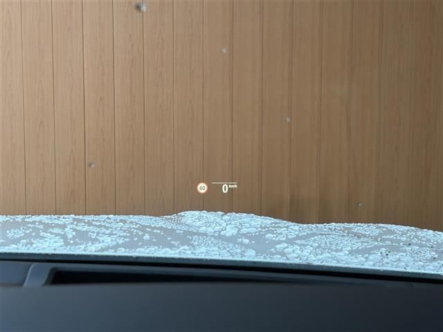 2021 BMW X7 照片 7
