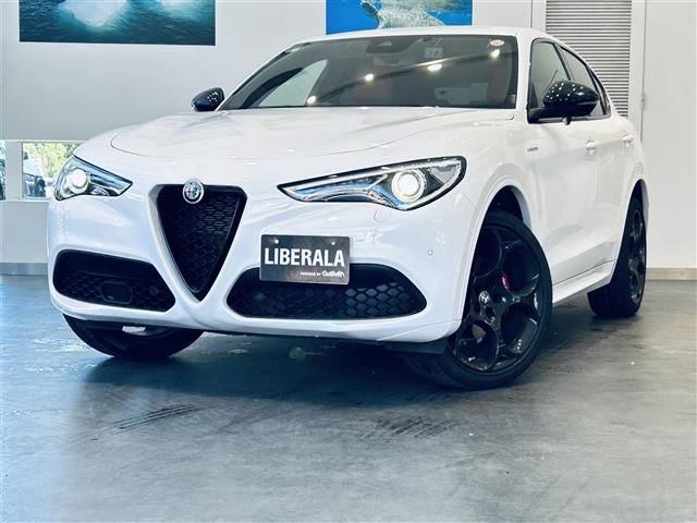 2022 ALFA Romeo STELVIO 照片 1