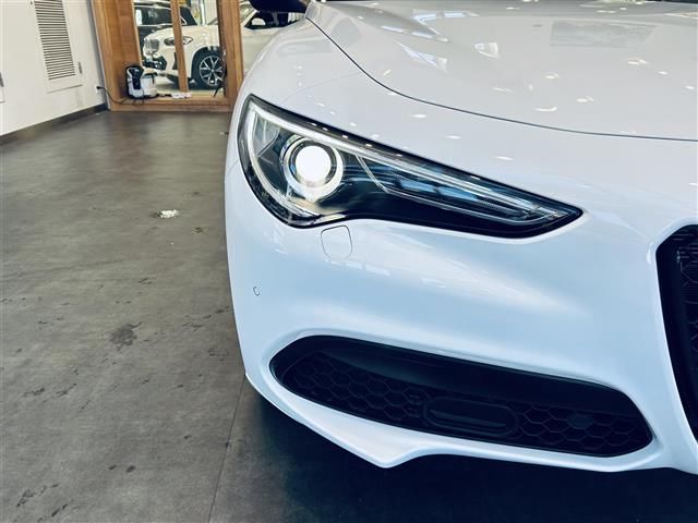 2022 ALFA Romeo STELVIO 照片 3
