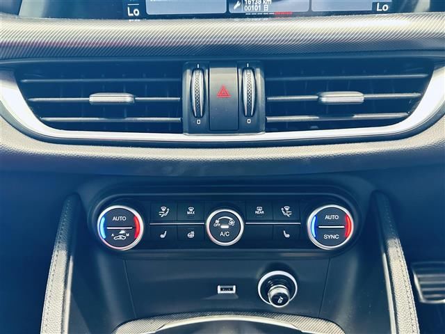2022 ALFA Romeo STELVIO 照片 10