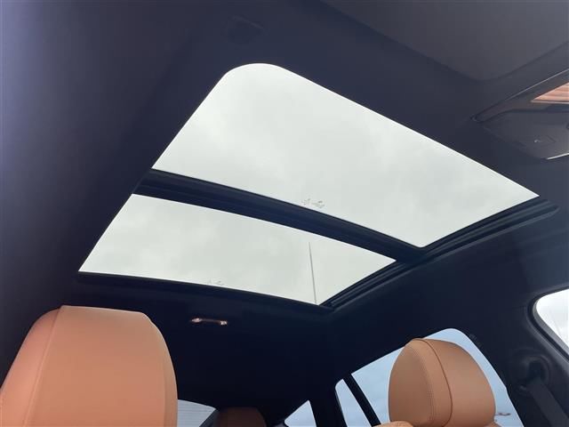 صورة 6 لـ 2021 BMW X6