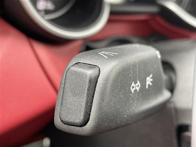 2020 ALFA Romeo STELVIO — миниатюра 19