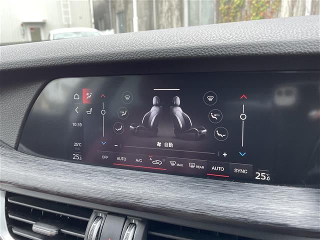 2020 ALFA Romeo STELVIO 照片 10