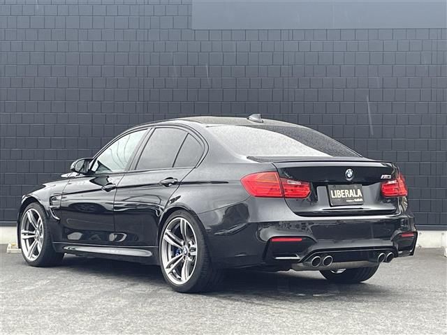 2015 BMW M3 照片 2