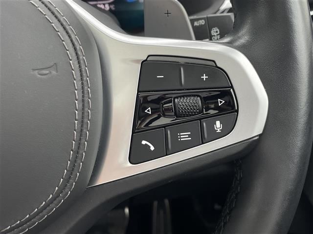 2021 BMW X7 照片 10