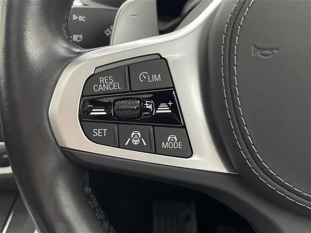 2021 BMW X7 照片 9