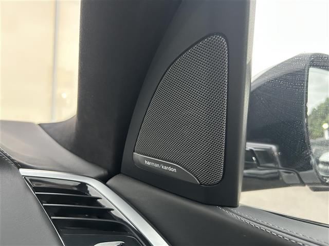 2020 BMW X7 照片 7