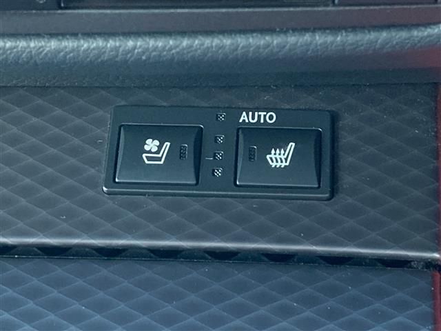 2016 Lexus GS F — миниатюра 20