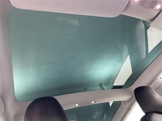 صورة مصغرة 20 لـ 2019 Tesla MODEL 3