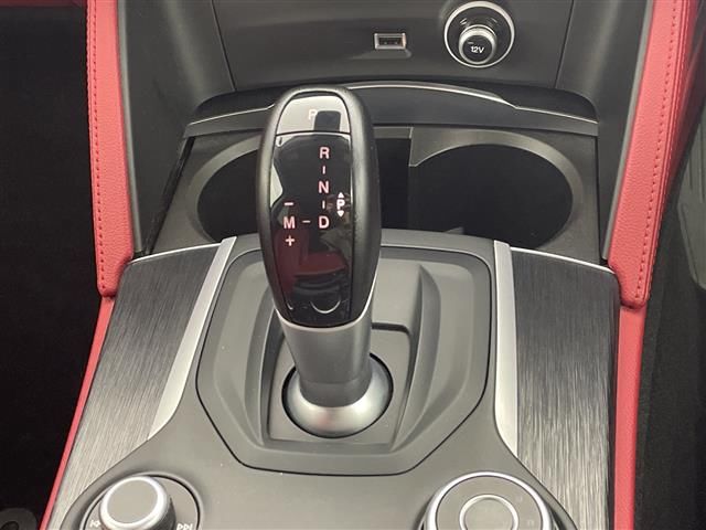 2019 ALFA Romeo STELVIO 缩略图 24