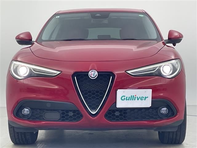 2019 ALFA Romeo STELVIO 照片 3