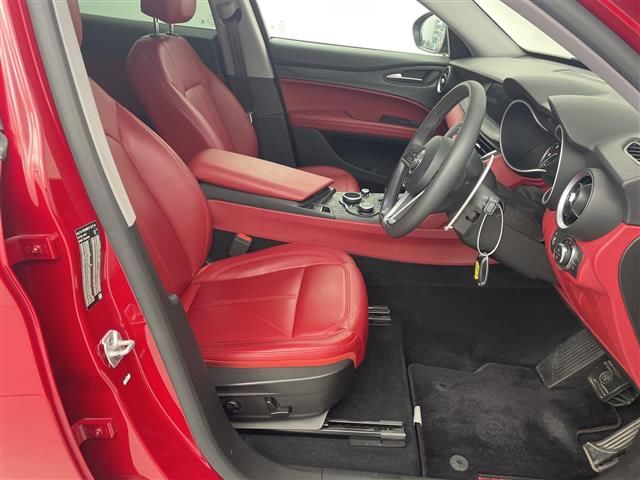 2019 ALFA Romeo STELVIO 缩略图 14