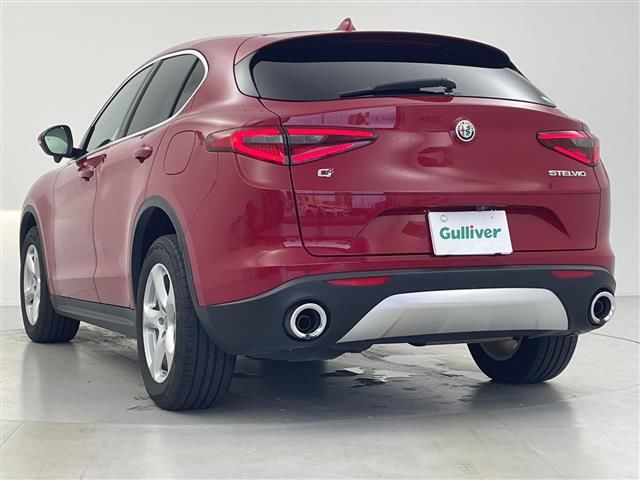 2019 ALFA Romeo STELVIO 照片 2