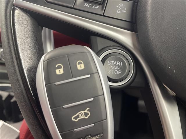 2019 ALFA Romeo STELVIO 照片 10