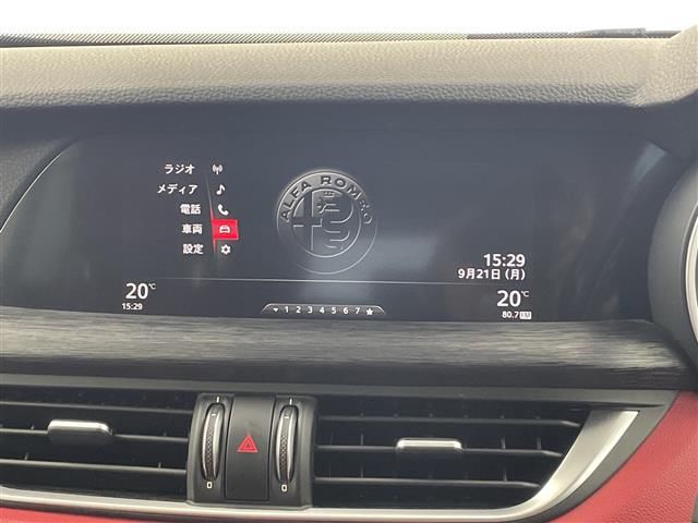 2019 ALFA Romeo STELVIO 照片 8