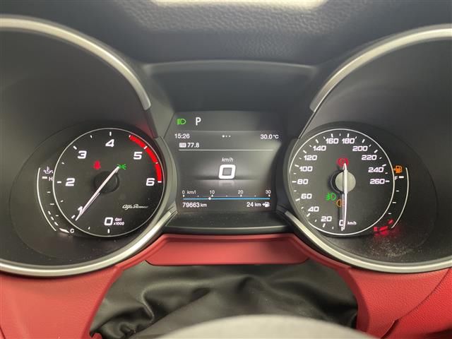 2019 ALFA Romeo STELVIO 照片 7